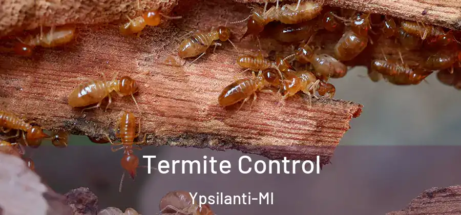  Termite Control Ypsilanti-MI