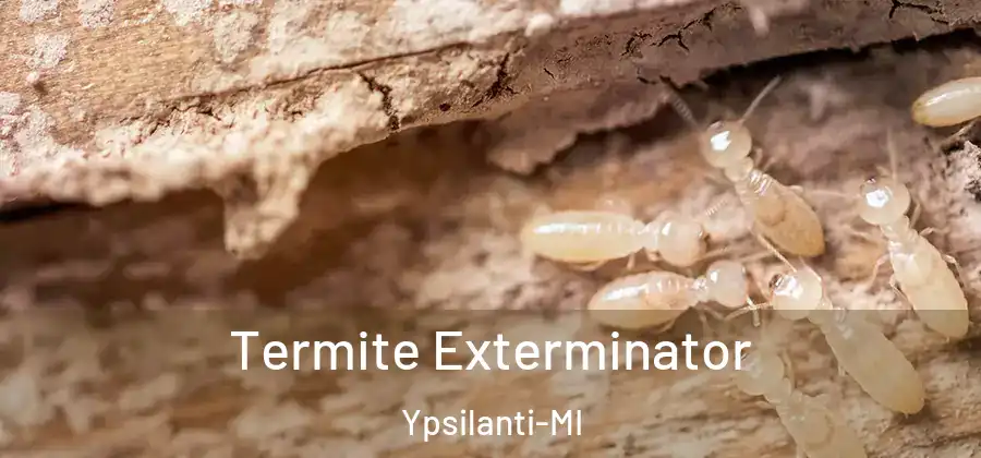  Termite Exterminator Ypsilanti-MI