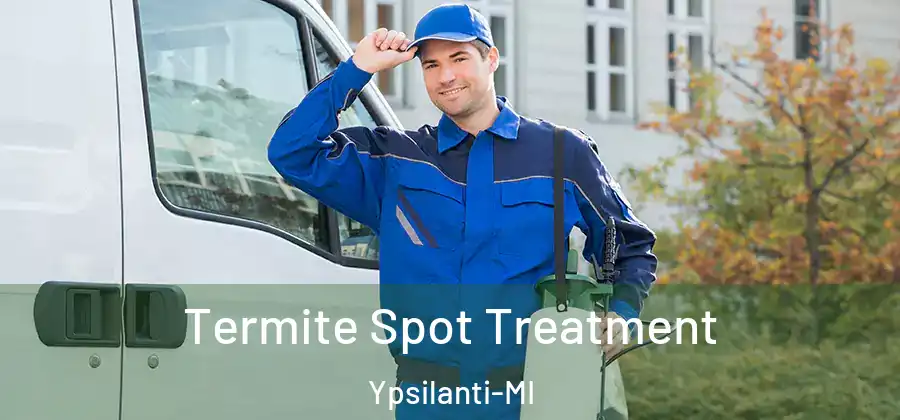  Termite Spot Treatment Ypsilanti-MI