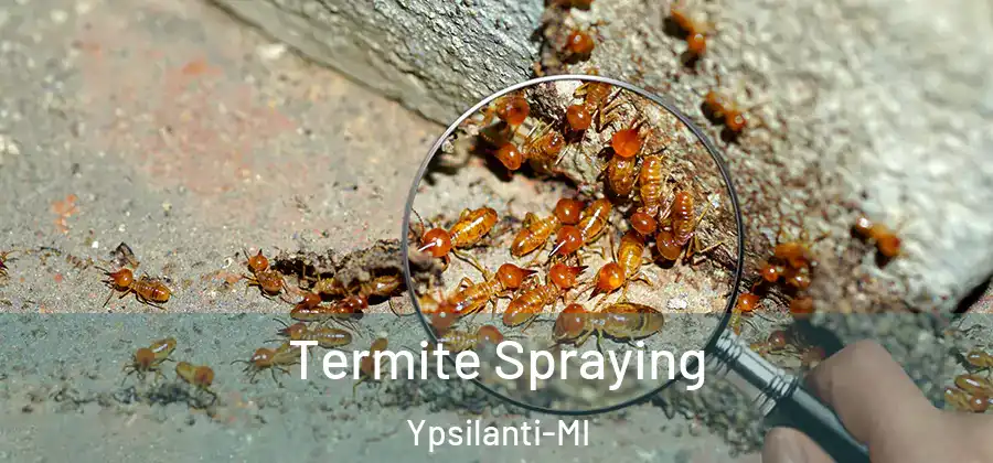  Termite Spraying Ypsilanti-MI