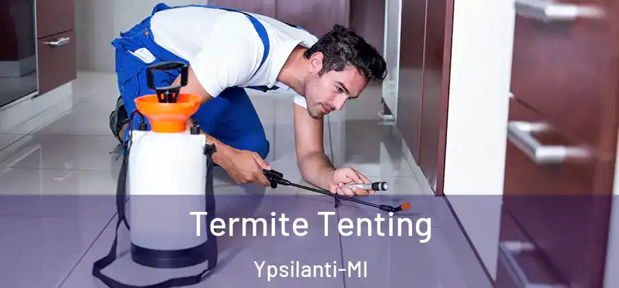  Termite Tenting Ypsilanti-MI