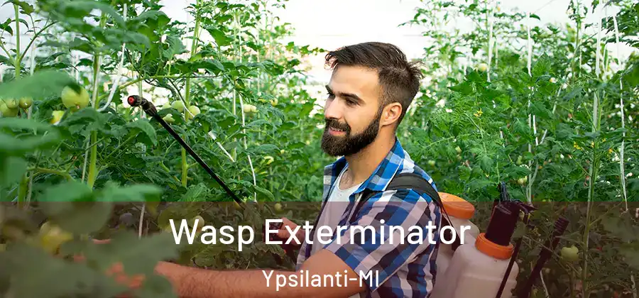  Wasp Exterminator Ypsilanti-MI